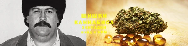 ECSTASY Алексеевка