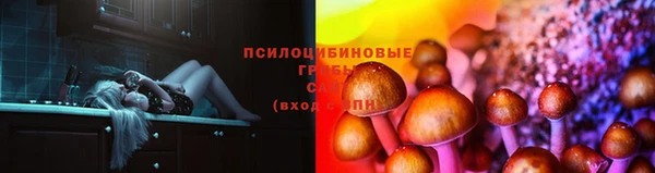 герыч Алзамай