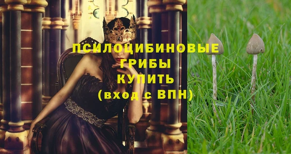 герыч Алзамай