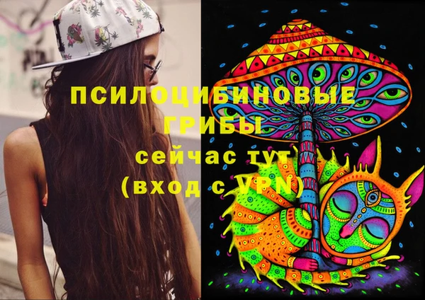 герыч Алзамай
