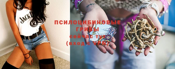 герыч Алзамай